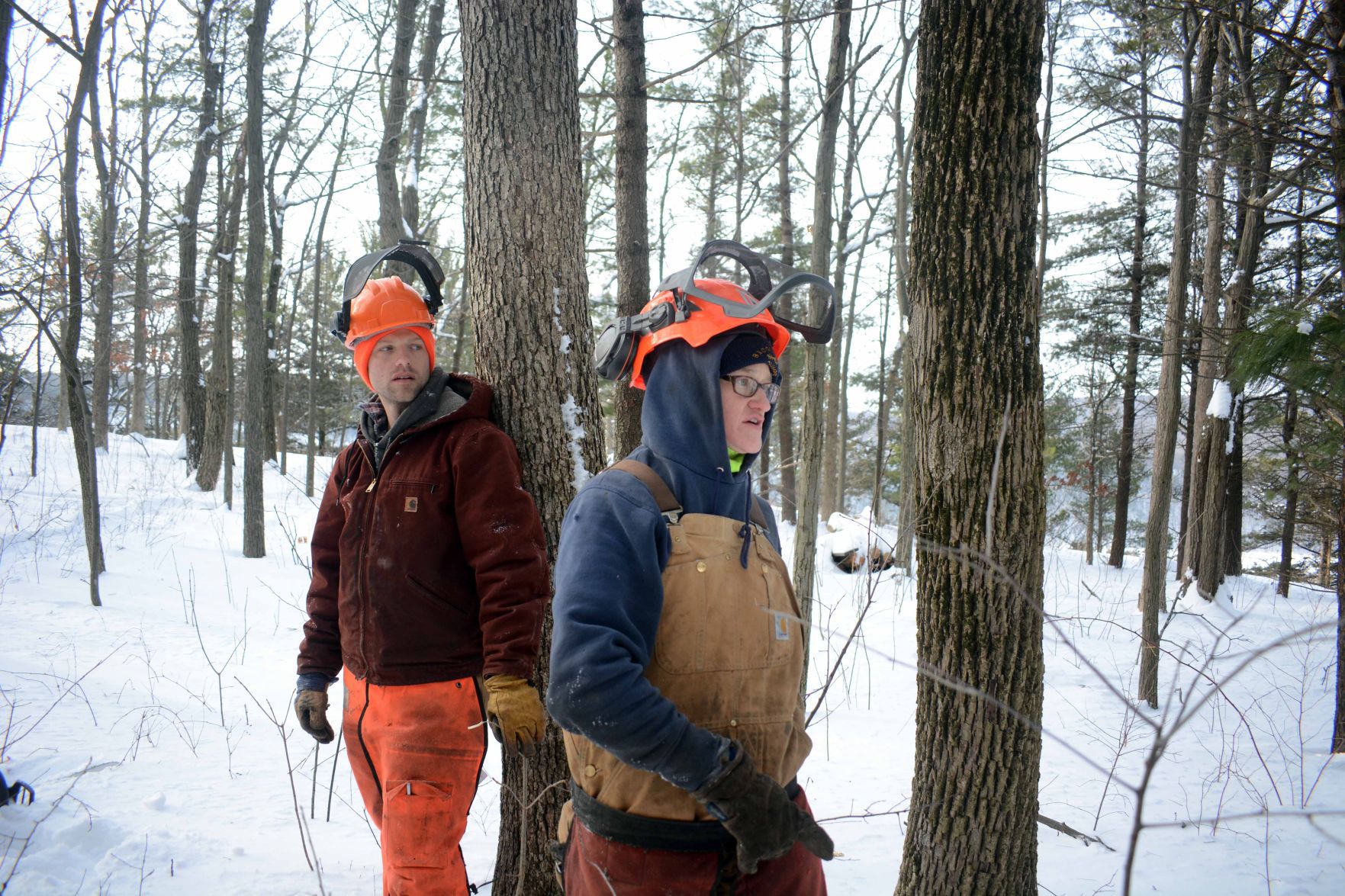 Devil's Lake east bluff stewardship work